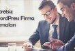 ücretsiz wordpress firma temaları