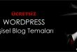 ücretsiz wordpress kişisel blog temaları